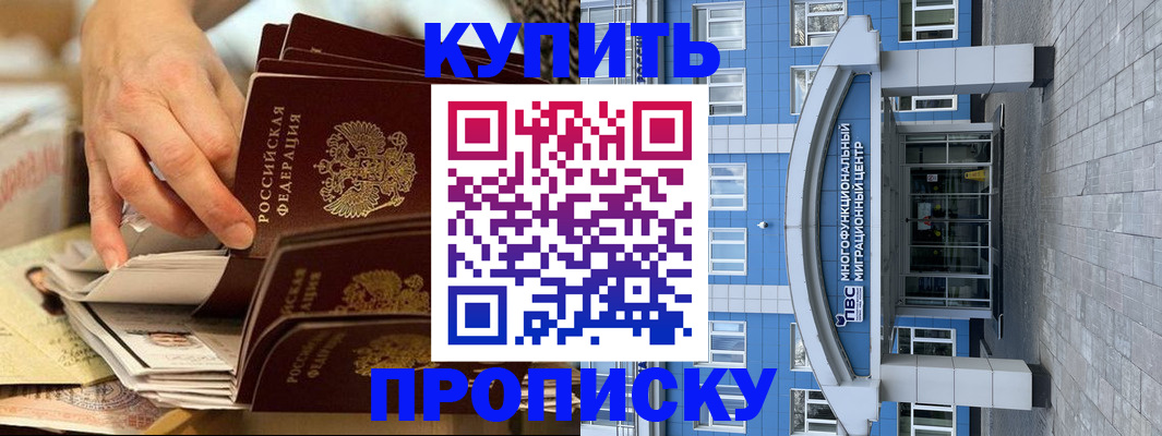 прописка гарантия в Дмитрове